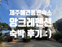 '제주 애견동반 숙소 앙크레펜션 숙박 후기 :)' 블로그 리뷰 썸네일 이미지