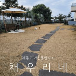 '제주도애견동반숙소 서귀포 가성비 좋은 운동장 펜션 채우리네 내돈내산' 블로그 리뷰 썸네일 이미지