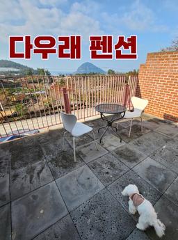 '다우래펜션, 제주 안덕면 애견동반 숙소' 블로그 리뷰 썸네일 이미지