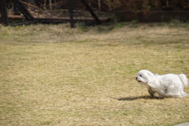 해핑빠빠의 리뷰 사진 5