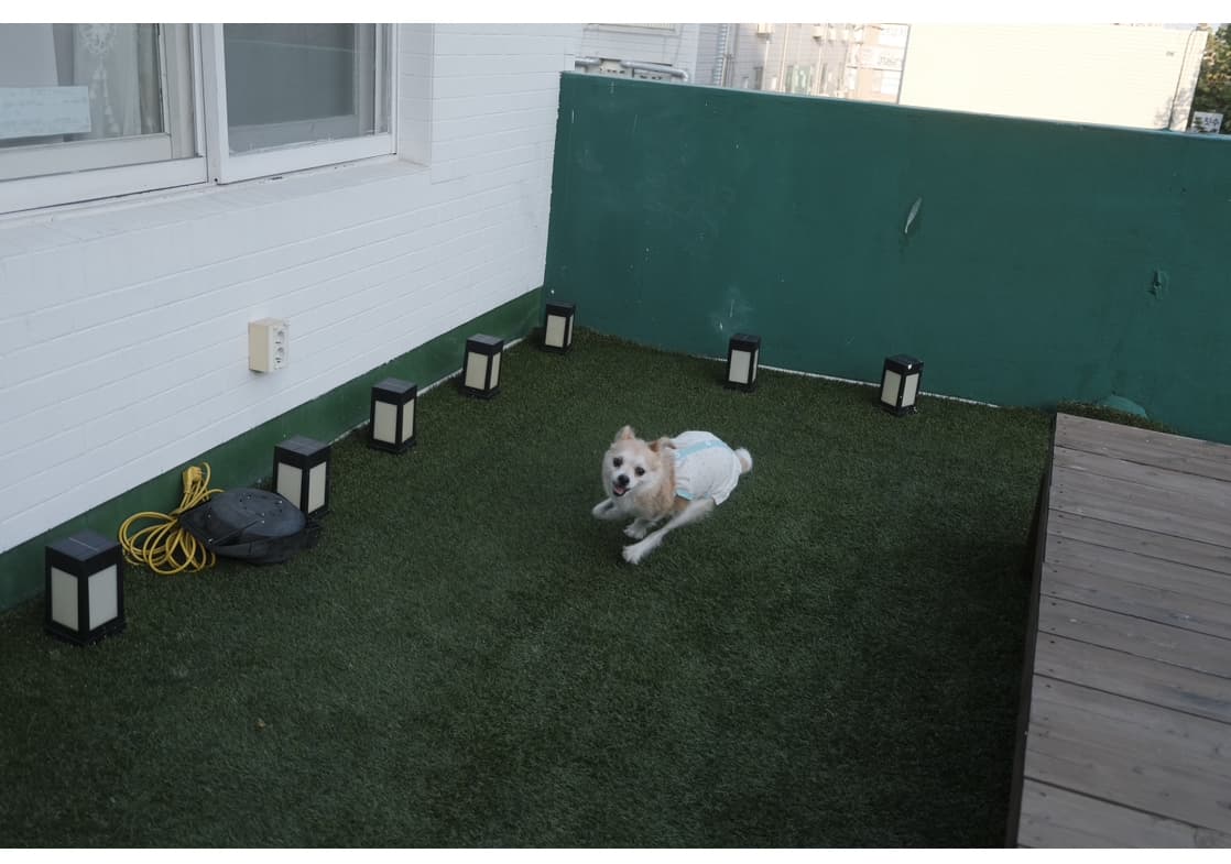 세이 바이 세이 포토 리뷰 - 1