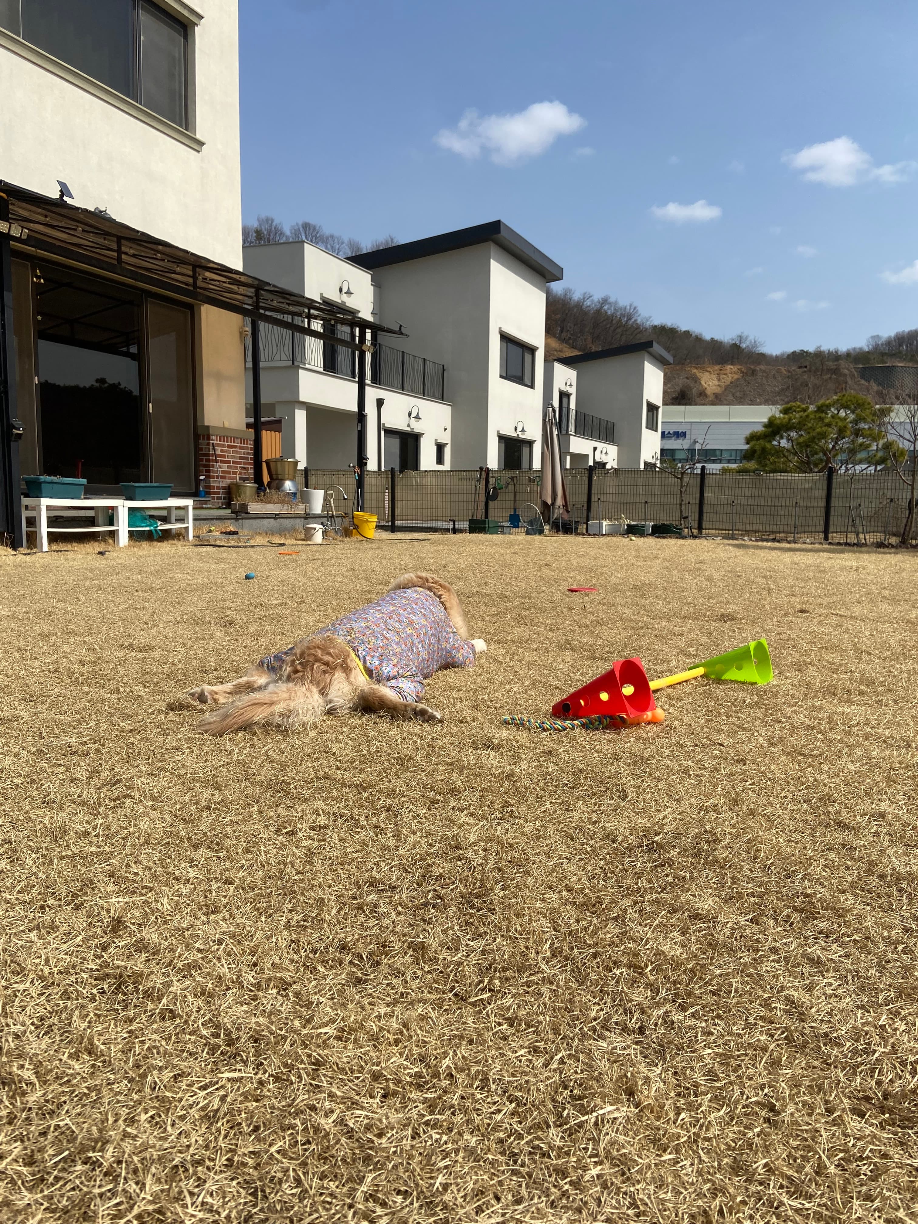 산멍때려 포토 리뷰 - 2