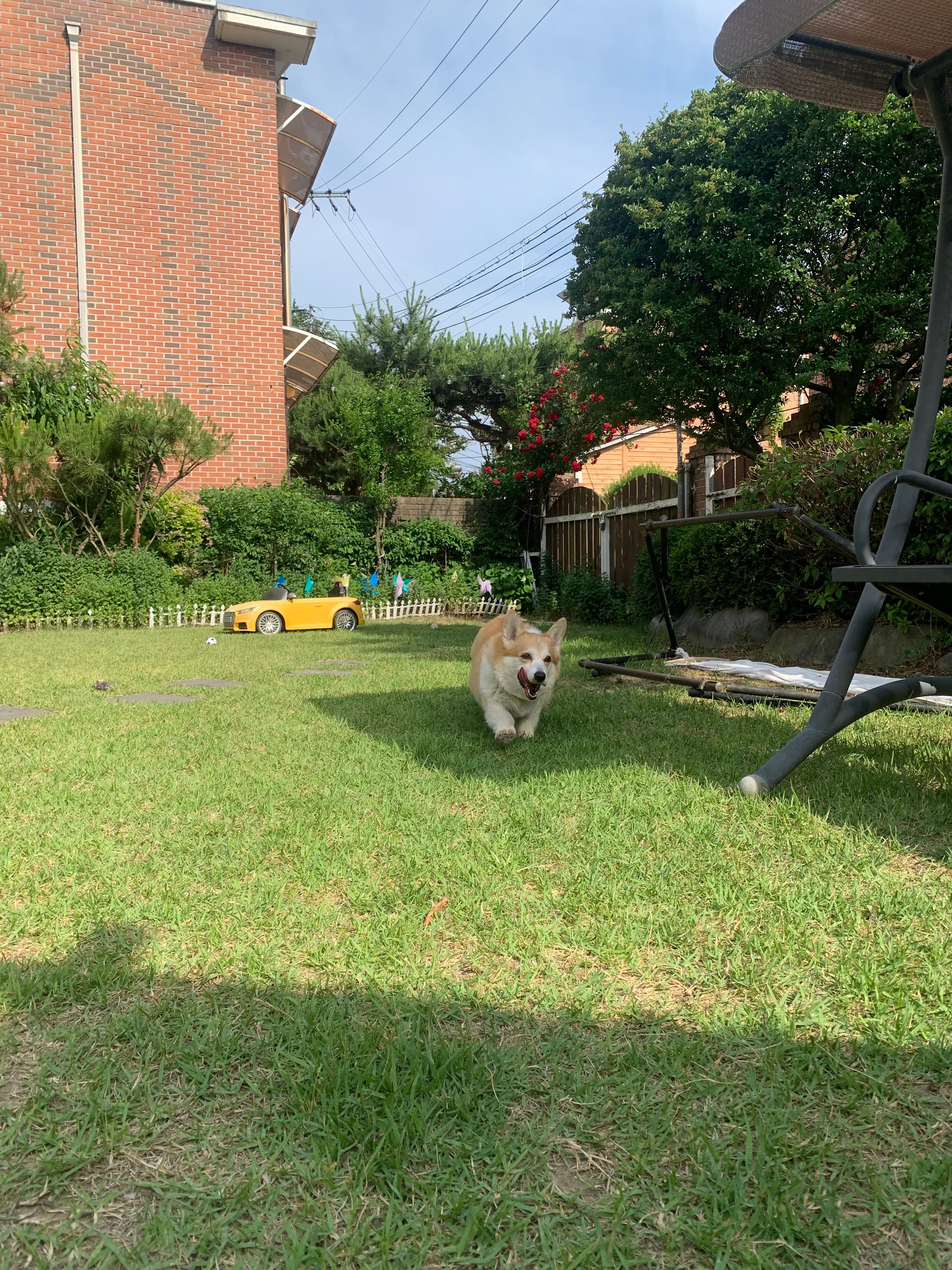 놀멍오개 포토 리뷰 - 1