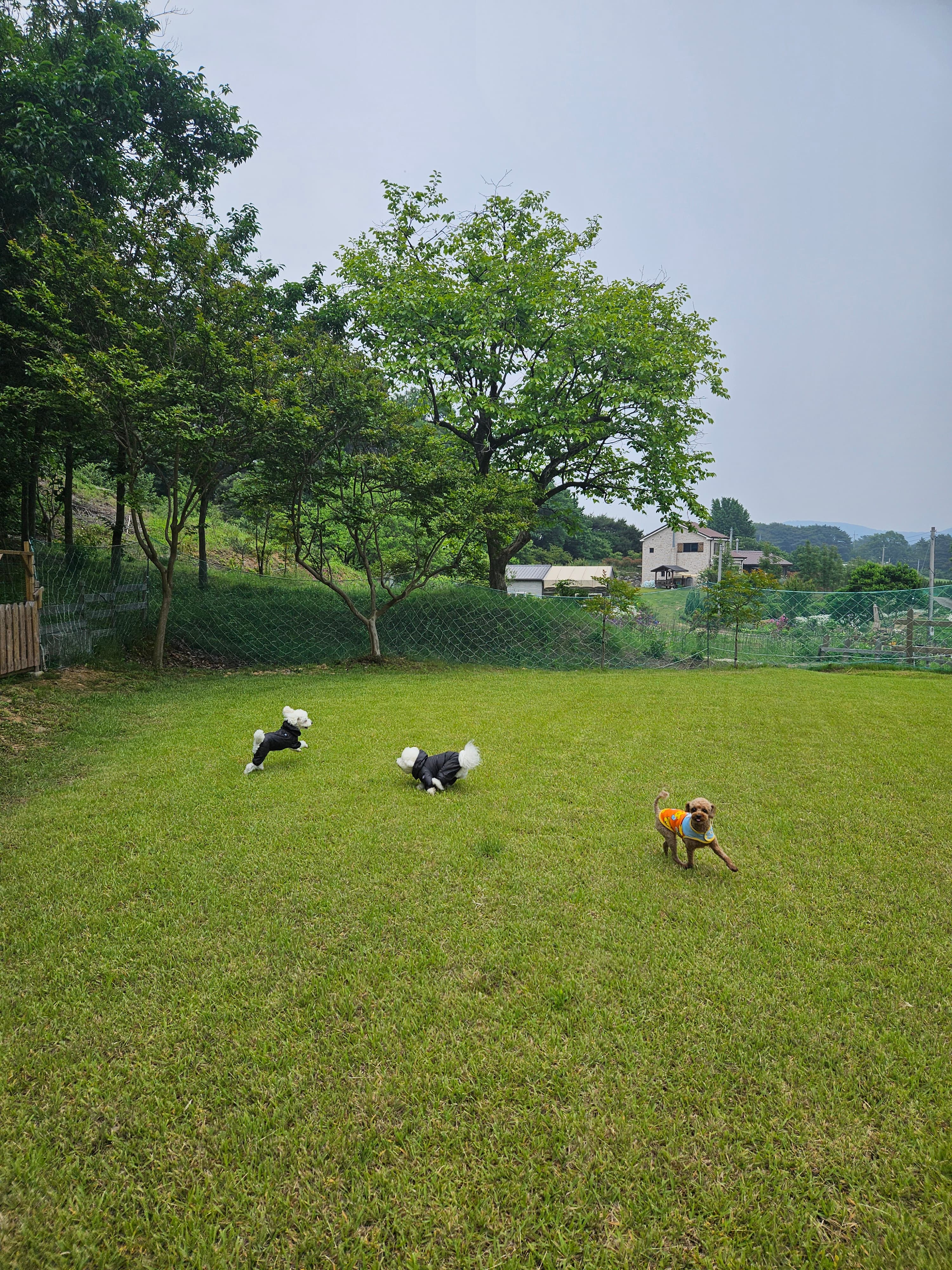 이안이네 숲새꽃뜰 포토 리뷰 - 3