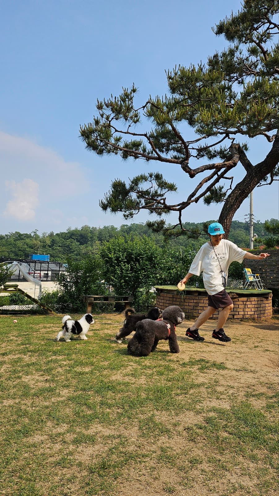 뭉게뭉게 구름산 빌리지 마당 포토 리뷰 - 2