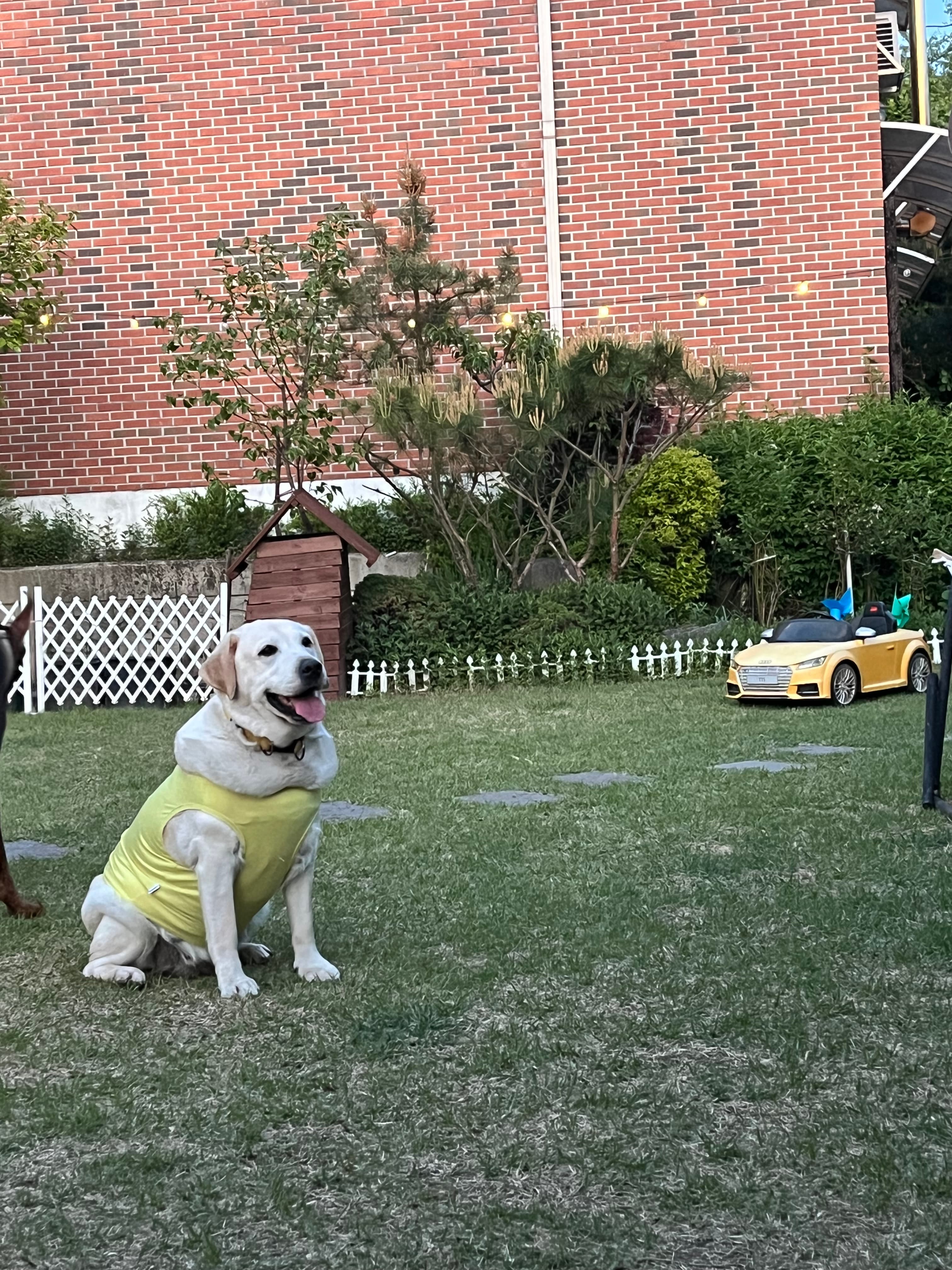 놀멍오개 포토 리뷰 - 3