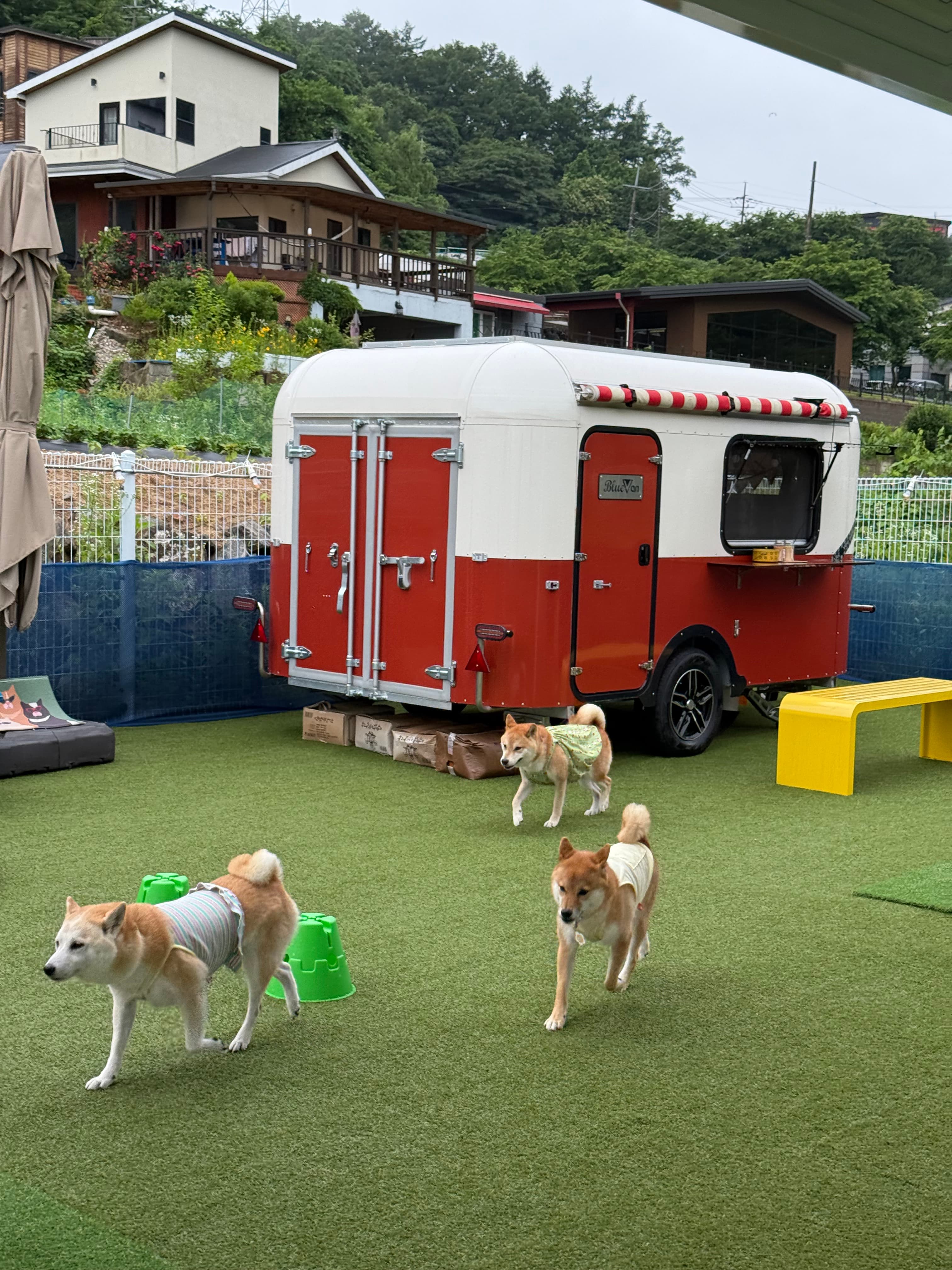 키다리의자 마당 포토 리뷰 - 1