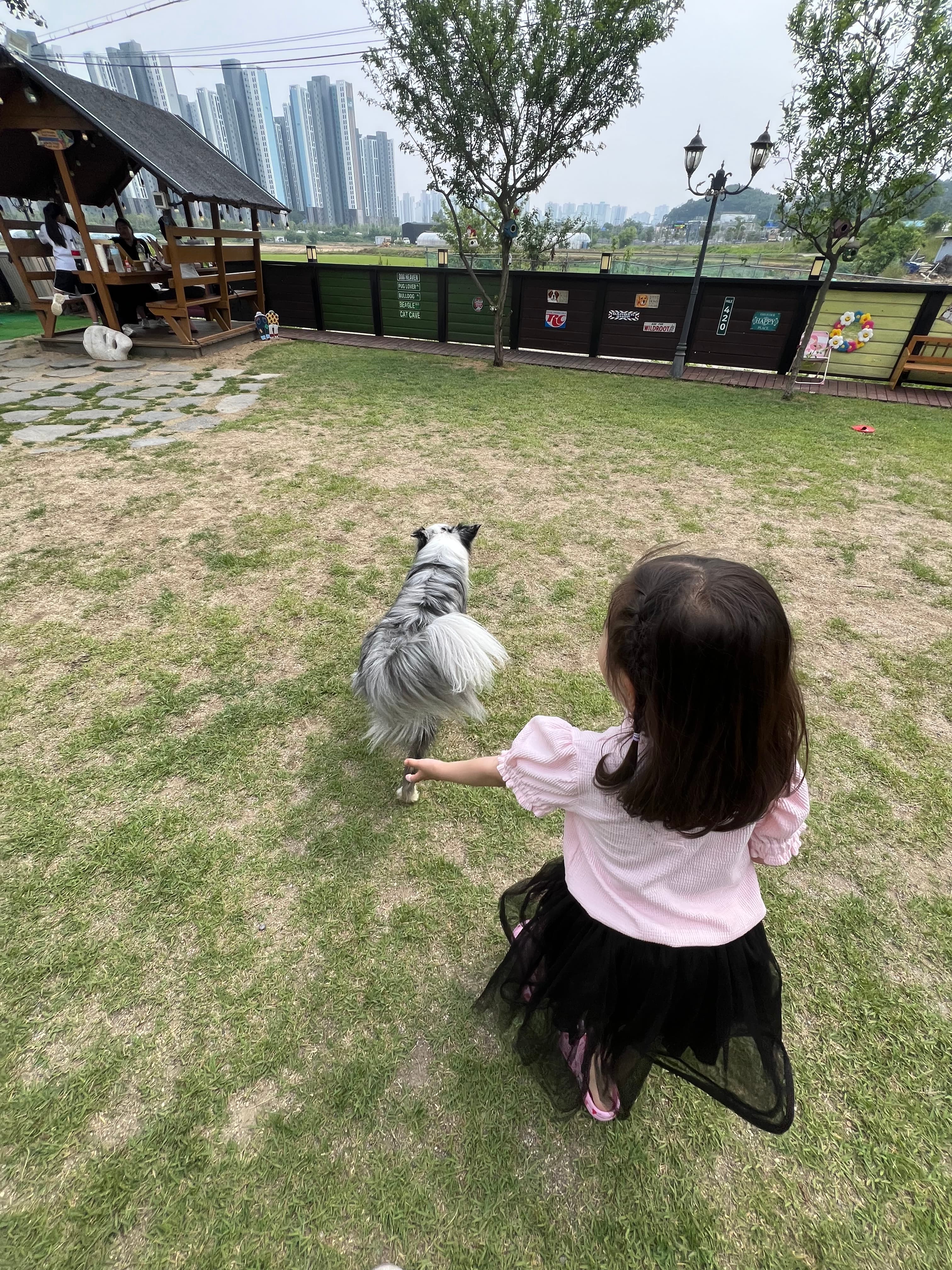 운정신도시 댕댕이 천국 포토 리뷰 - 4