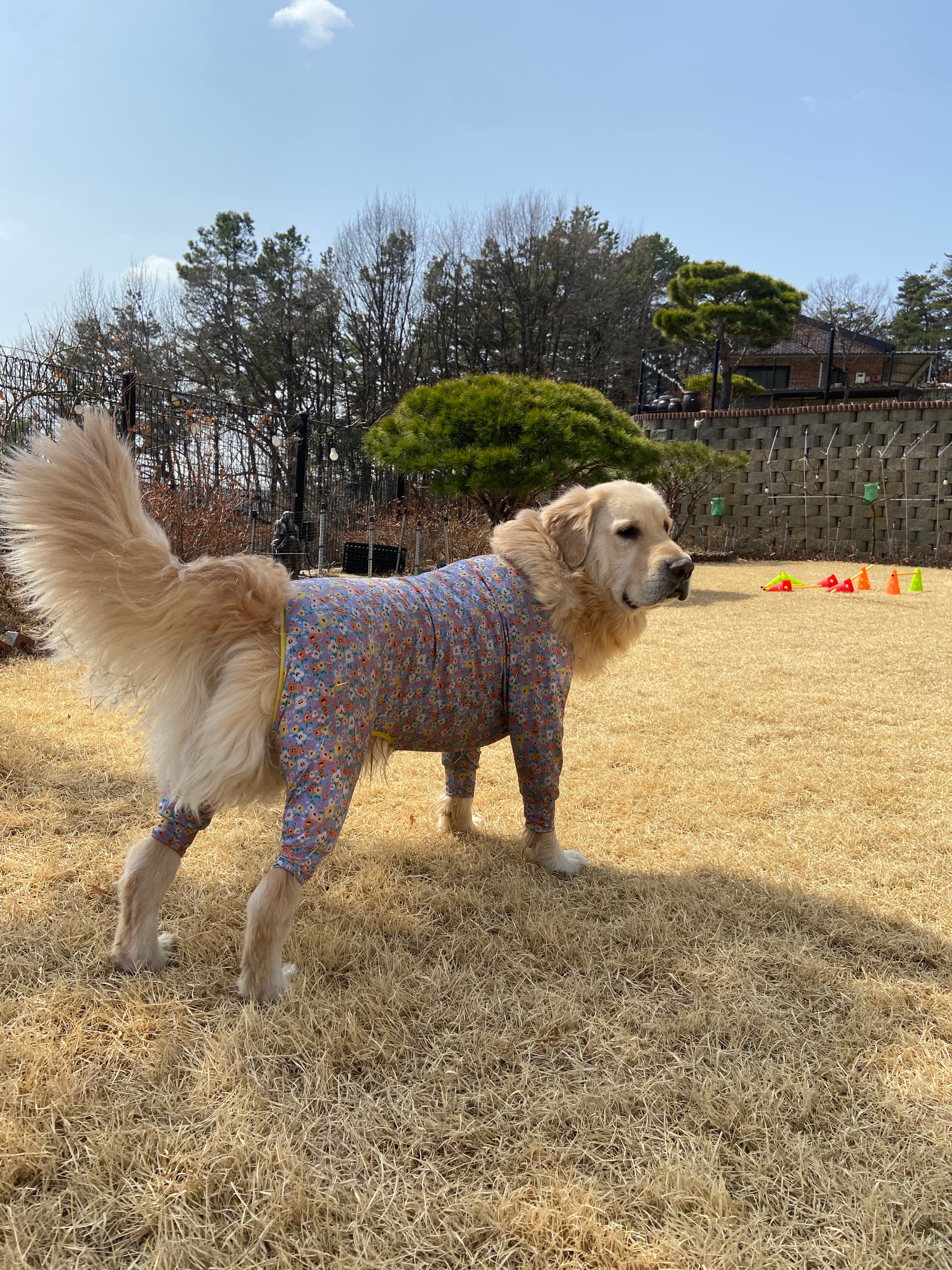 산멍때려 포토 리뷰 - 4