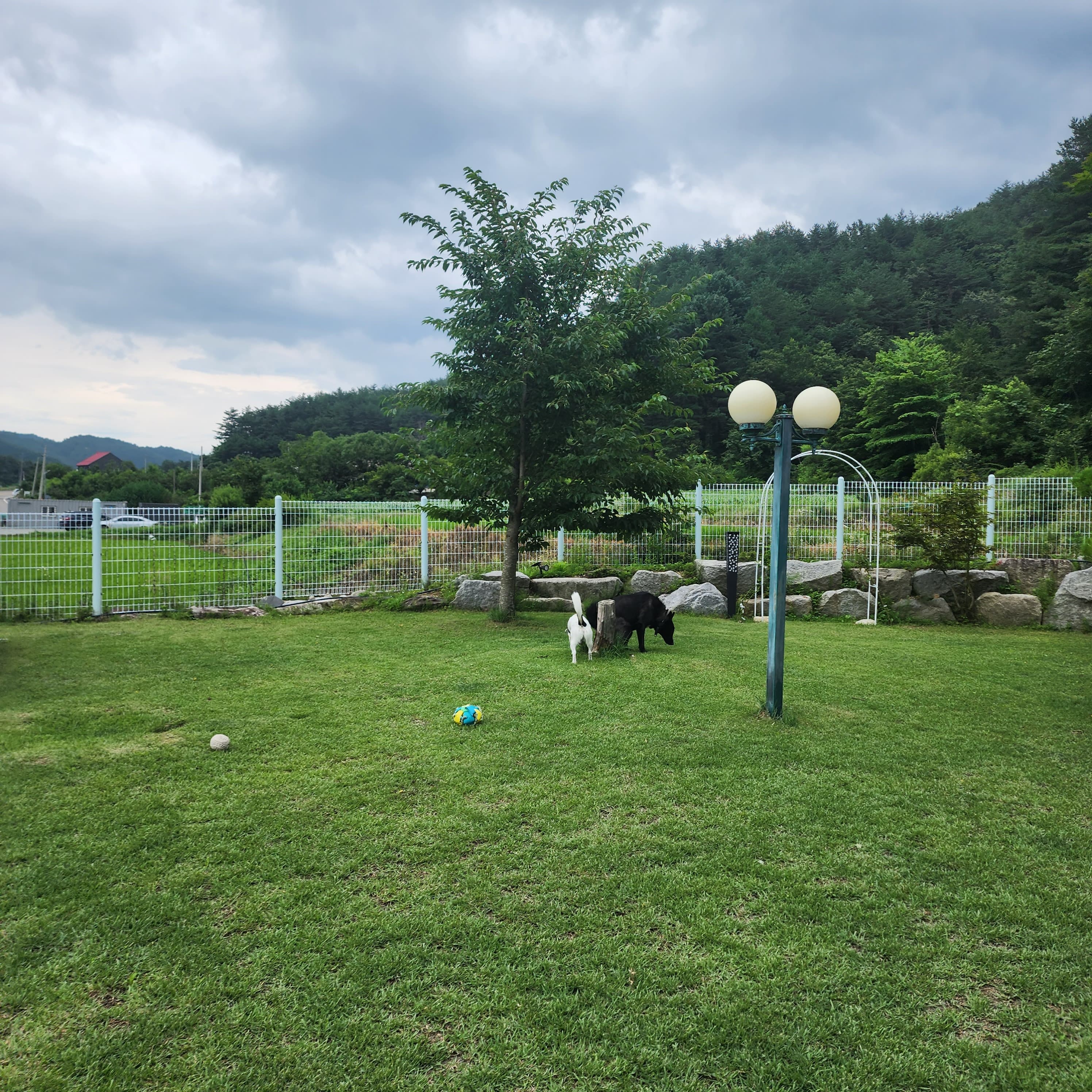 너와의 하루 포토 리뷰 - 3