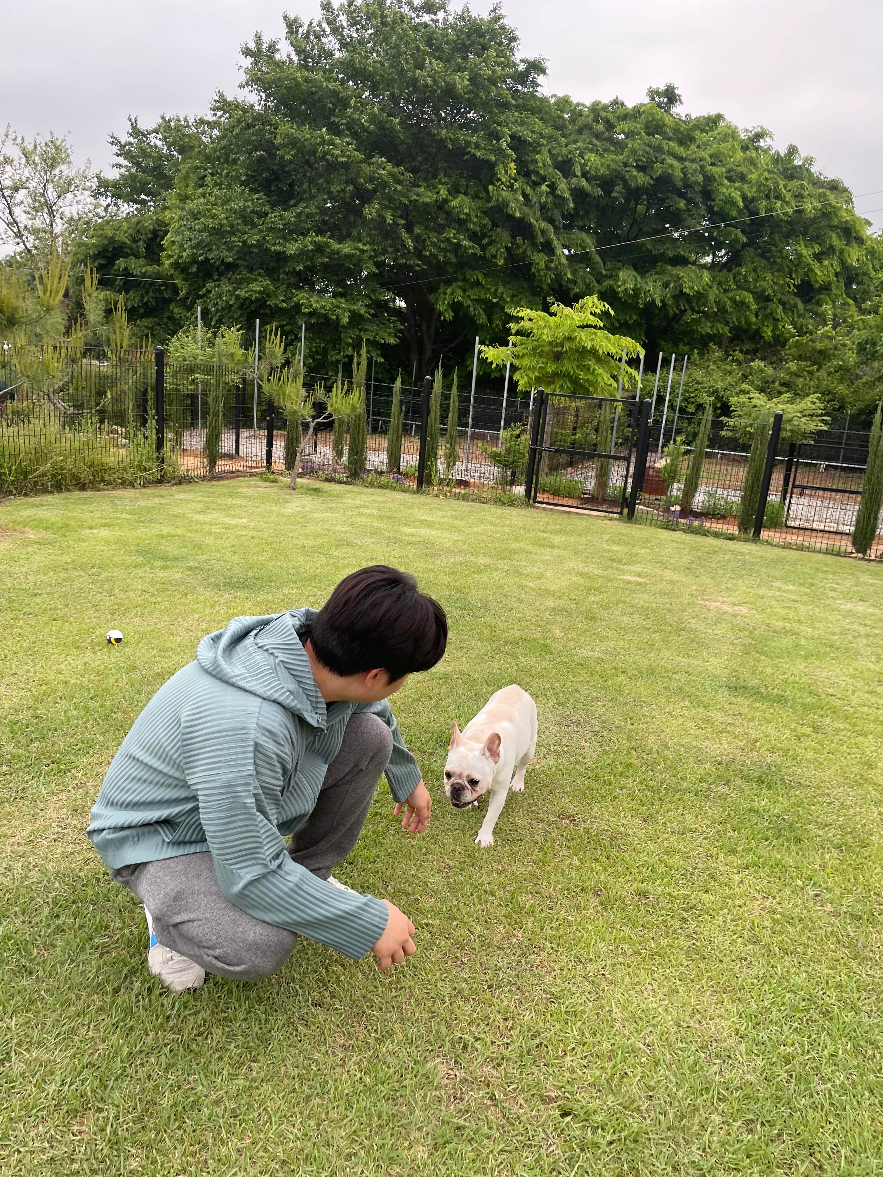 영이네 잔디마당 포토 리뷰 - 3
