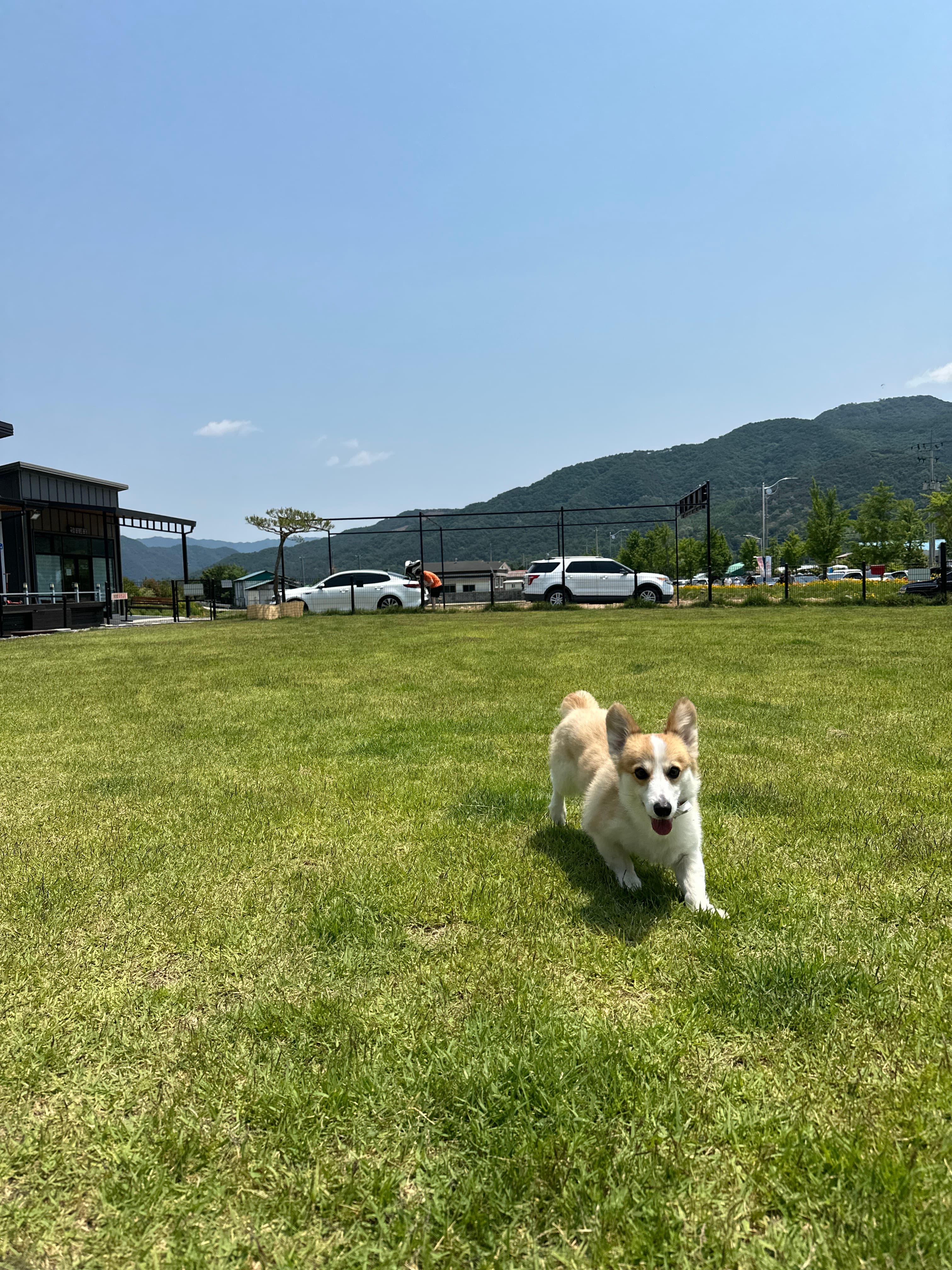 개판 포토 리뷰 - 4