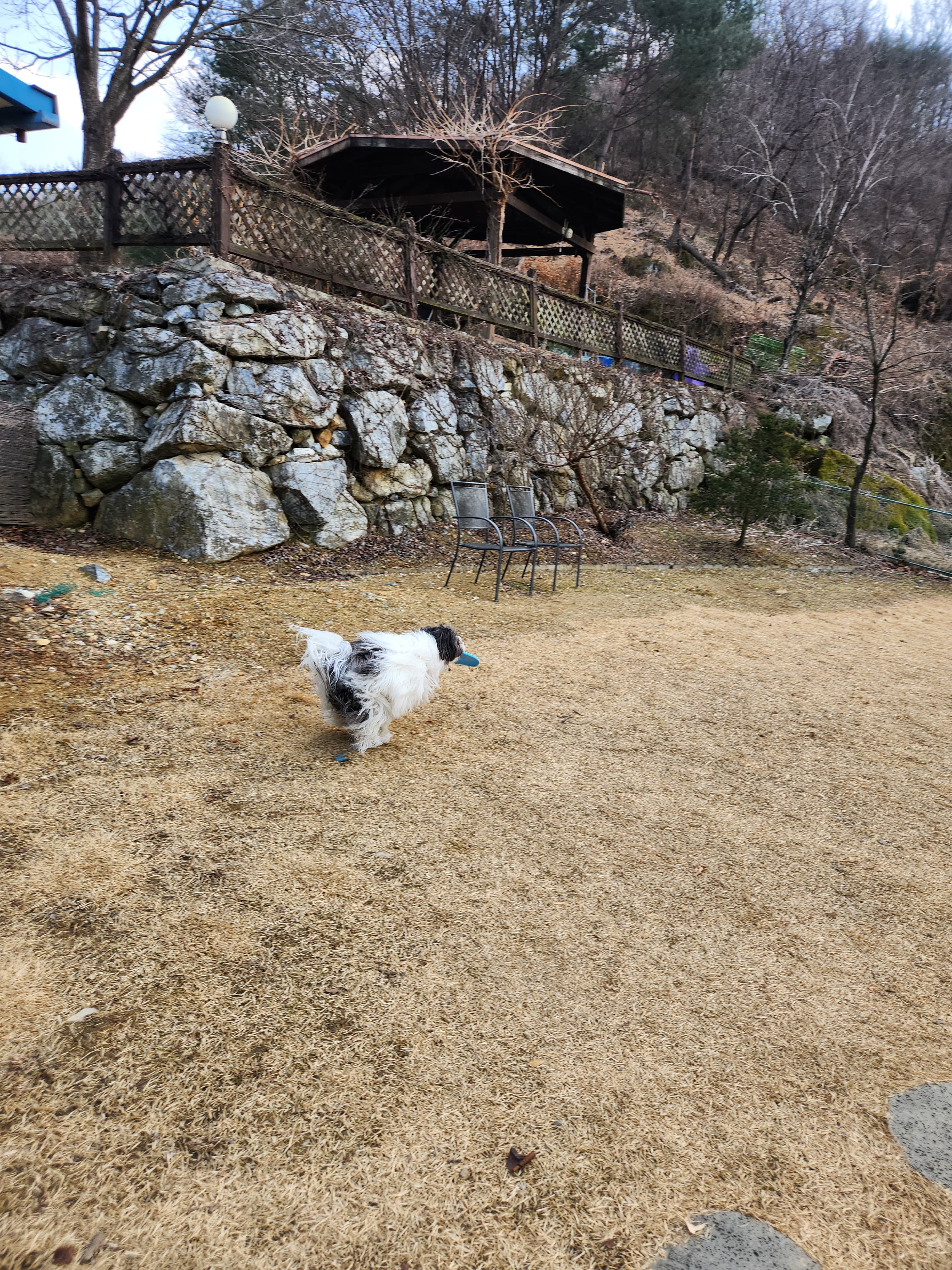 혁이네 마당 포토 리뷰 - 3
