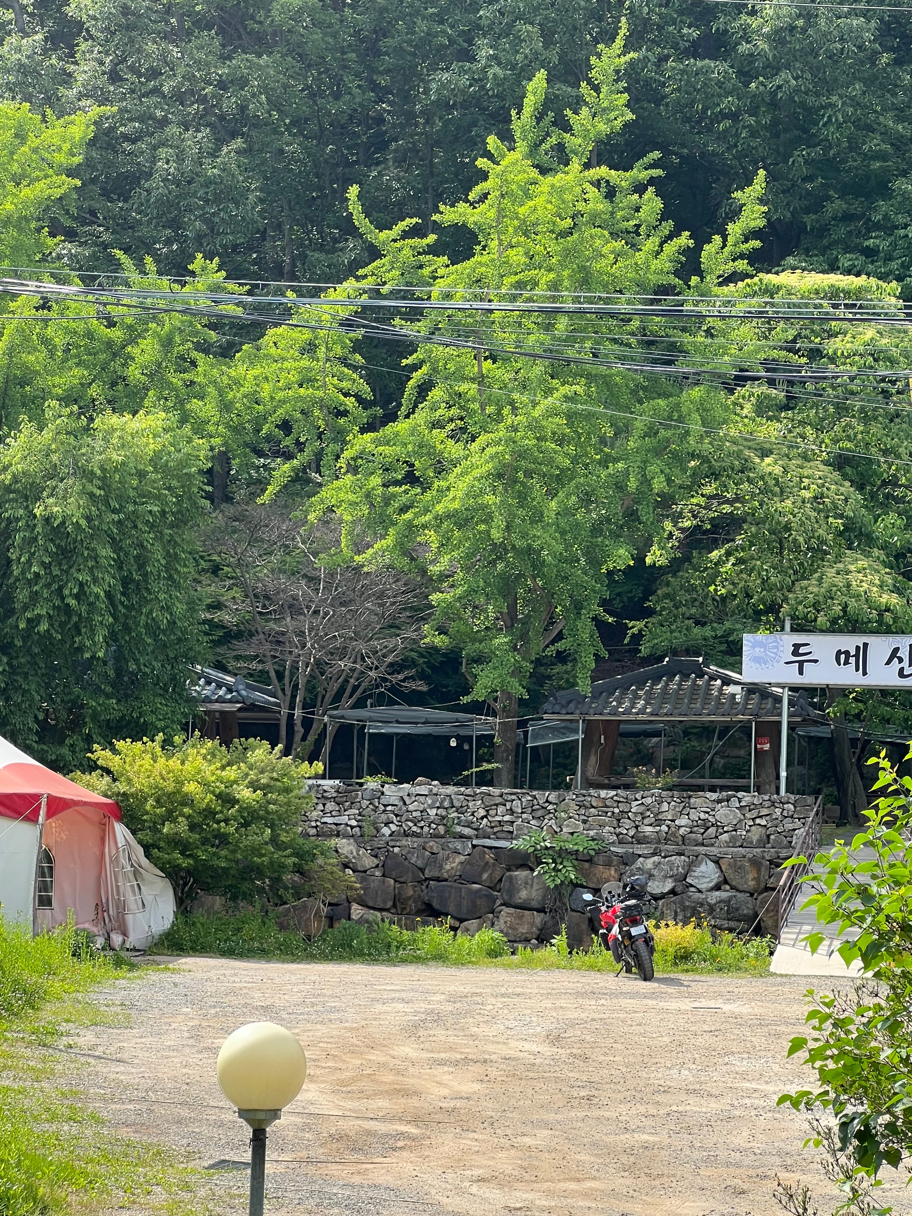 불당리327 마당 포토 리뷰 - 3