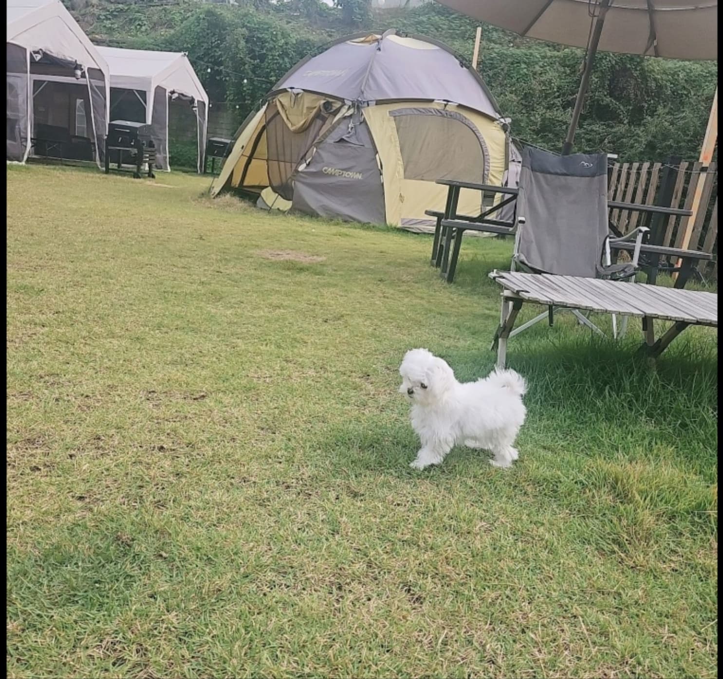 돌멩이 바비큐 마당 사진-25