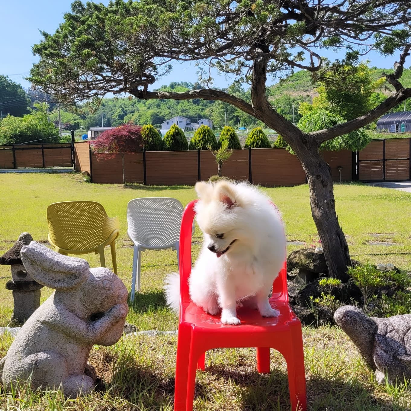 뚜드림 올나잇 파티룸 사진-13