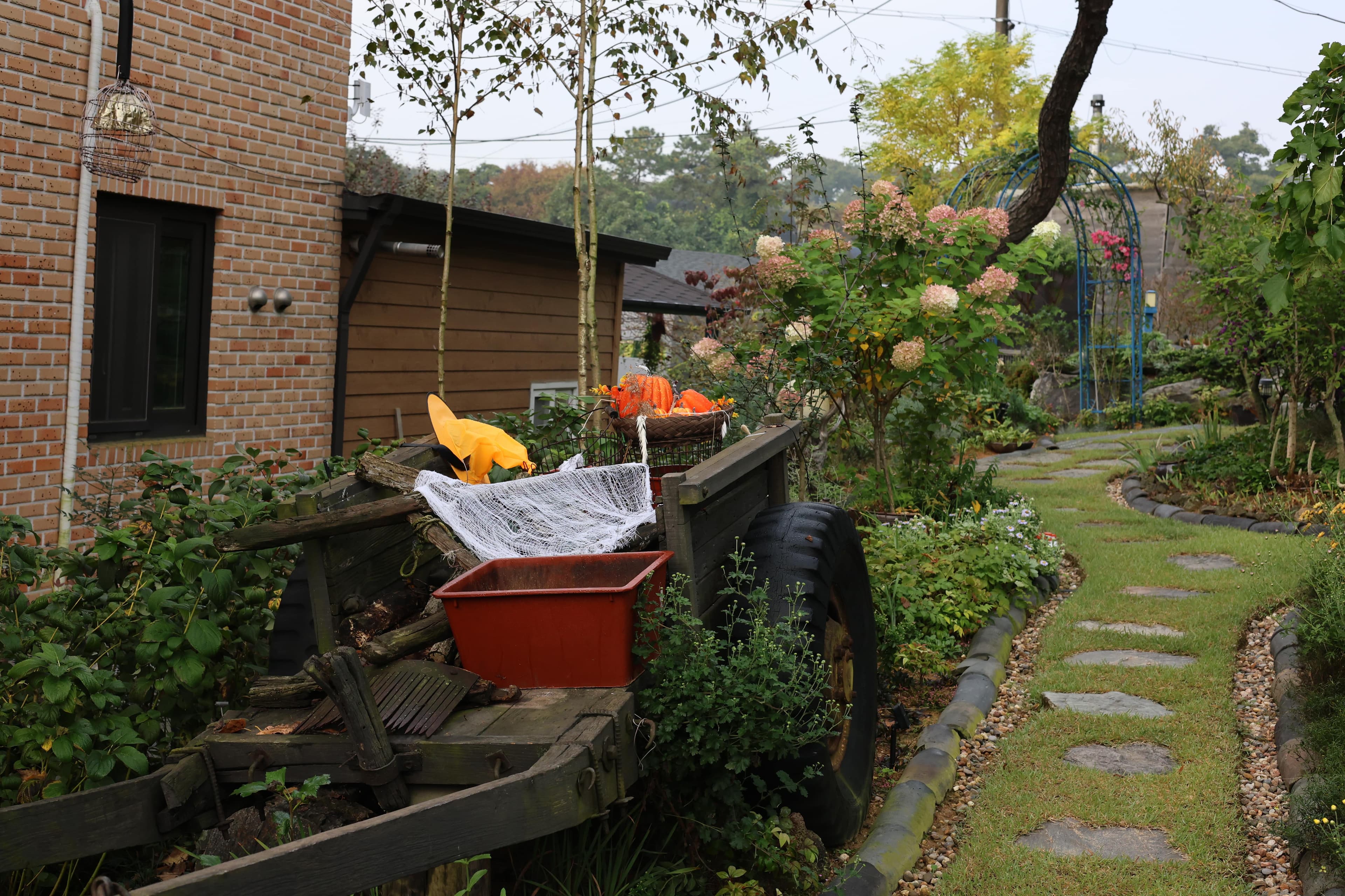 해밀 사진-7