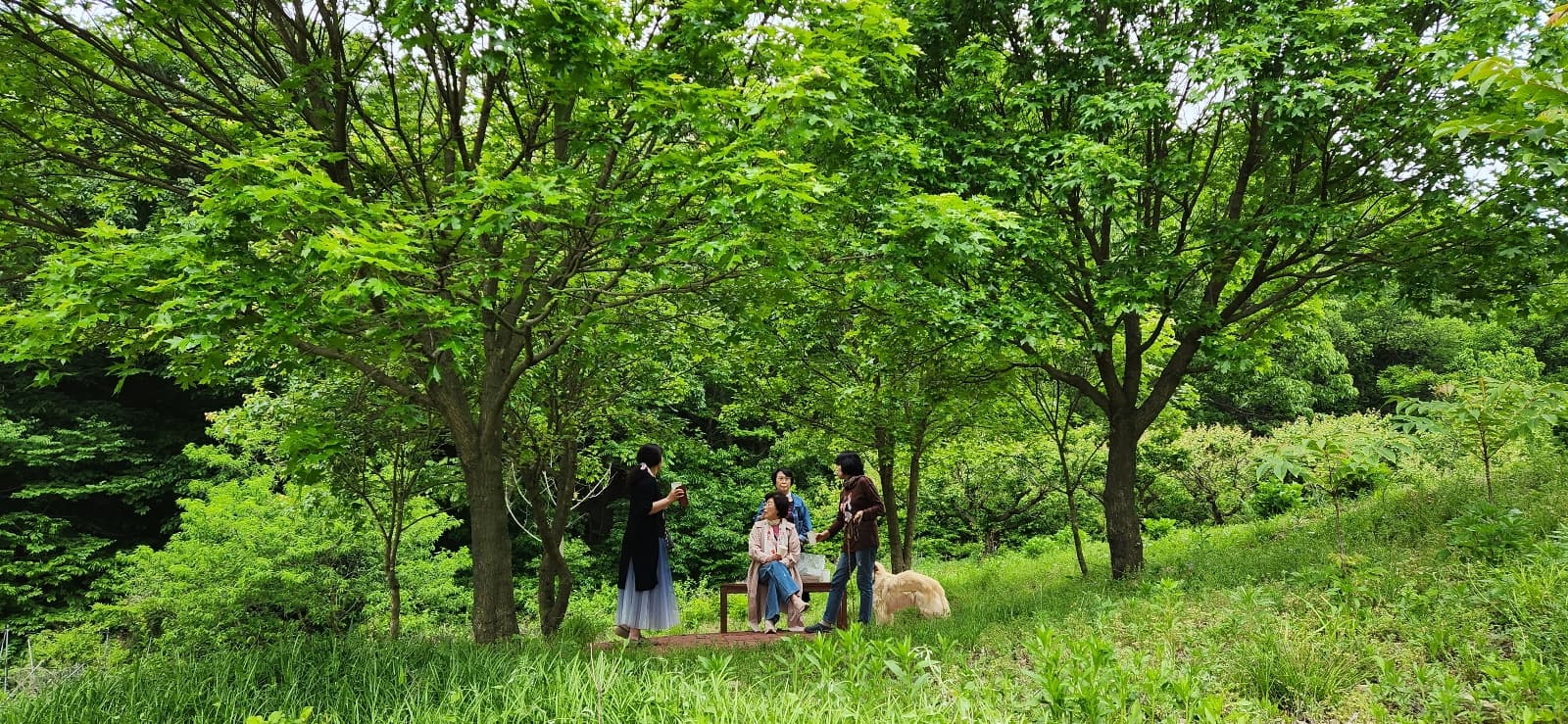 이안이네 숲새꽃뜰 사진-5