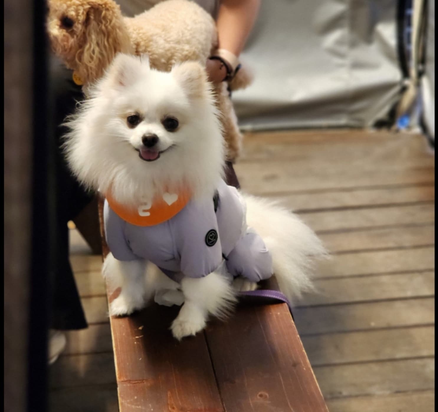 돌멩이 바비큐 마당 사진-21