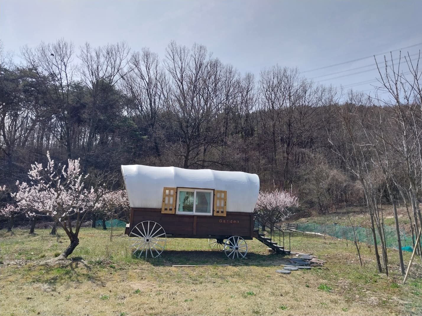 이안이네 숲새꽃뜰 사진-4