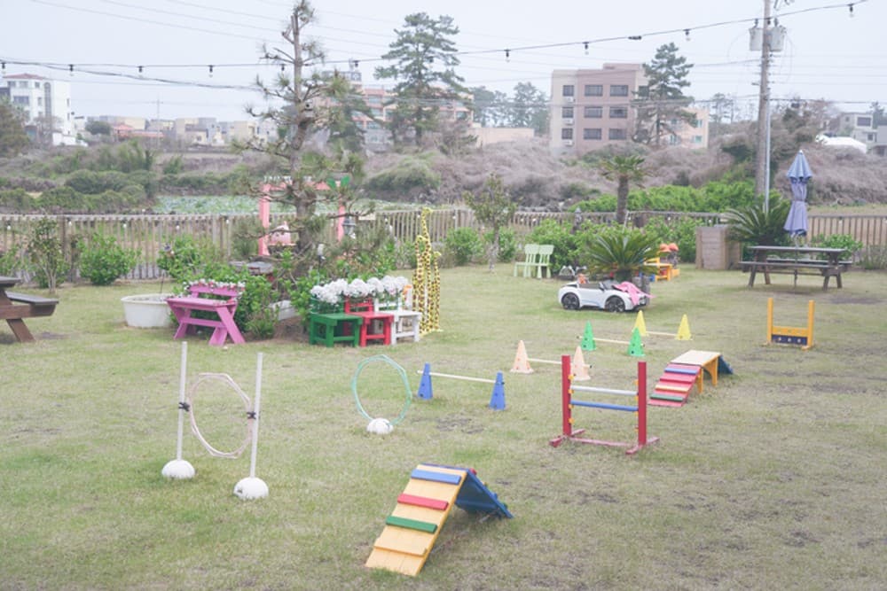 [제주여행] 제주 엔젤하우스 애견전문펜션	 사진-7