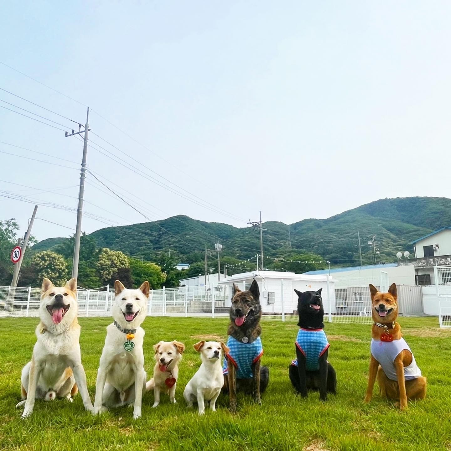 노리 그라운드
